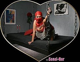 Bild 2 Sansi-Bar