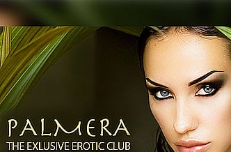 Imagen Palmera  The Exclusive Erotic Club