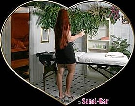 Imagem 4 Sansi-Bar
