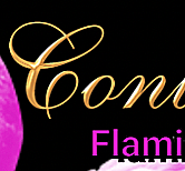 ErotikPenthouse Flamingo