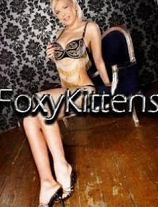 Imagen 2 Foxy Kittens
