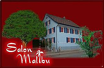 Imagem 1 Salon Malibu