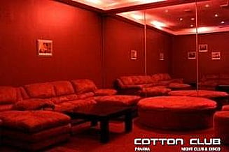 Bild 2 Cotton Club